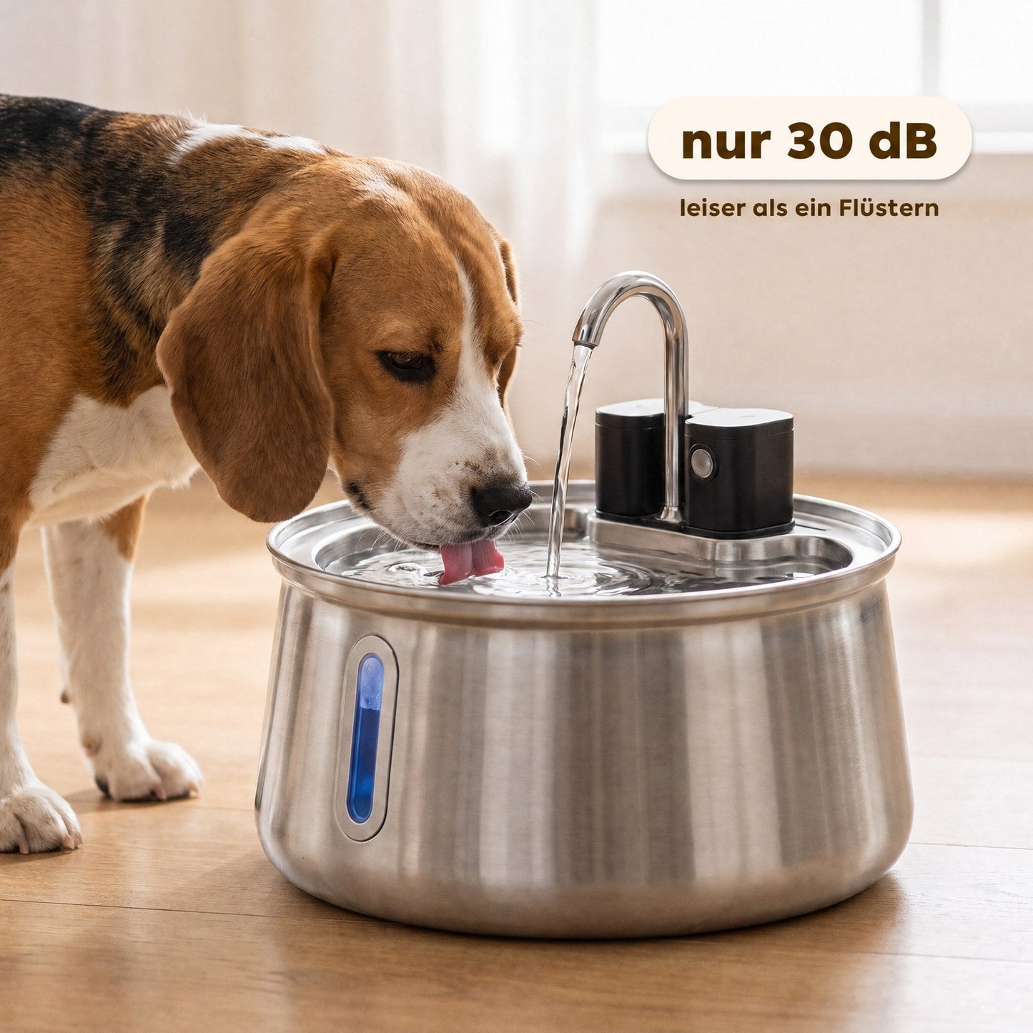 Beagle trinkt am leisen Brunnen mit nur 30 Dezibel