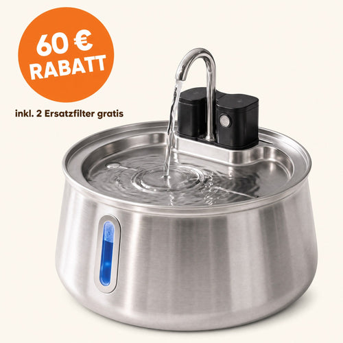 Edelstahl-Hundebrunnen mit 60 € Rabatt und zwei gratis Ersatzfiltern