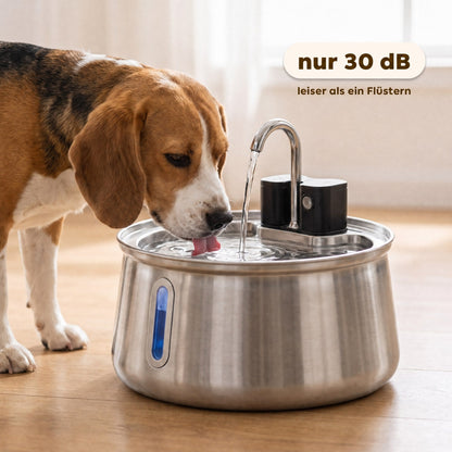Beagle trinkt am leisen Brunnen mit nur 30 Dezibel